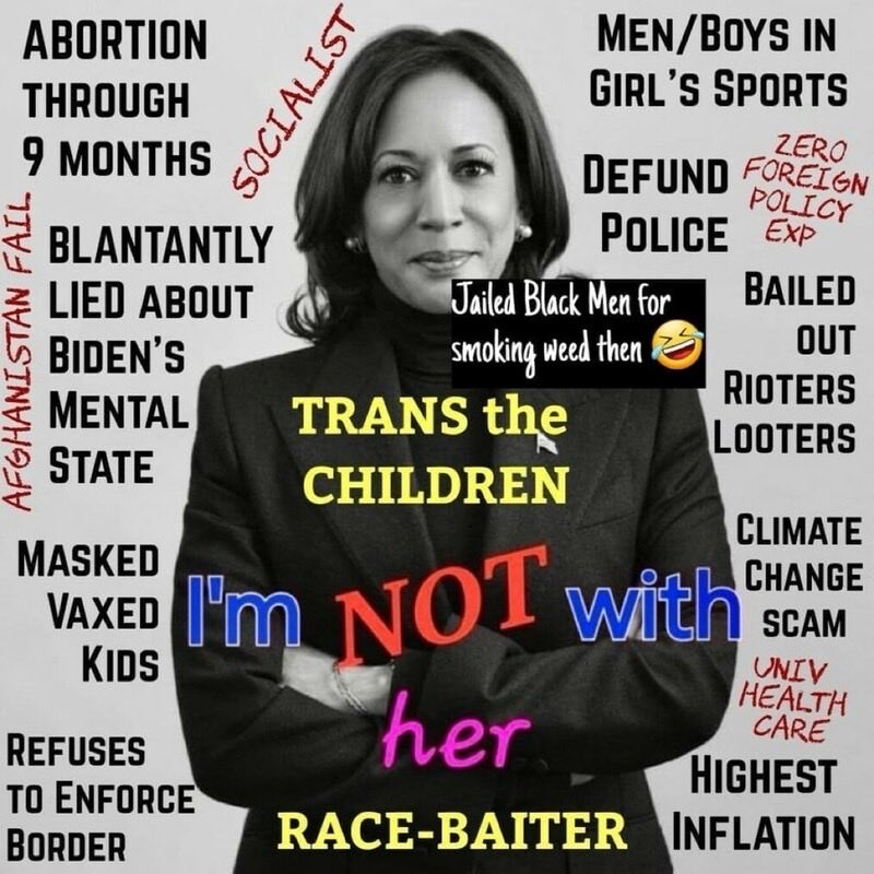 Xrayman5230's tweet photo. @RpsAgainstTrump The problem is you shitheads are just as known for lying as you pretend Trump is... #NotWithKamala https://t.co/dGYGcVnOxt