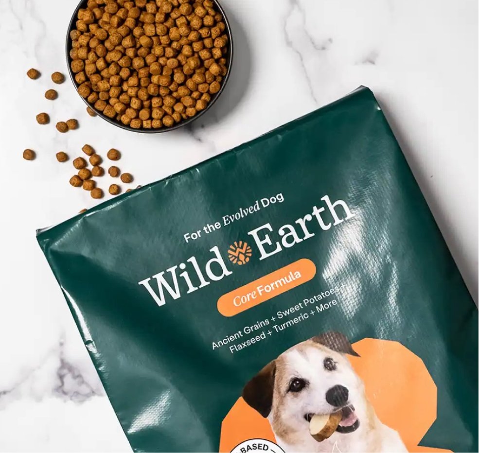 Badson Studio tweet media