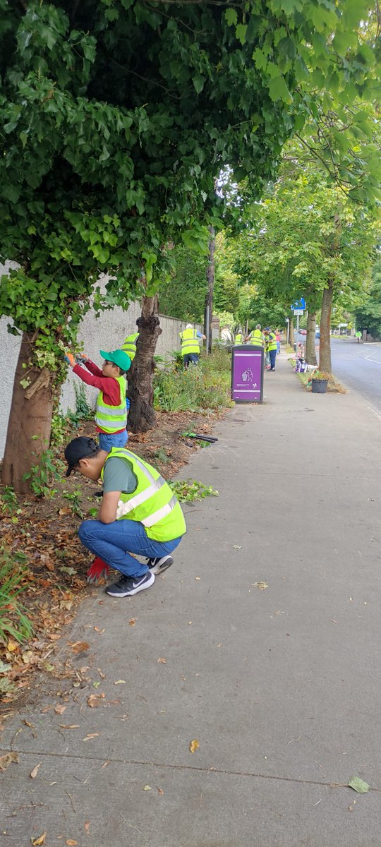 Cheers to everyone who joined us last Saturday! 🙌 Amazing work by a big crew working with very dry soil. With all the care and watering, the plants are sure to thrive! 🌱💦 Tons of stickers were removed, and Castleknock Road got a much-needed clean-up too. Well done, team! 👏