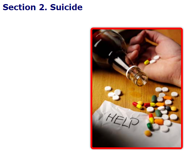 Famous Lemming tweet media