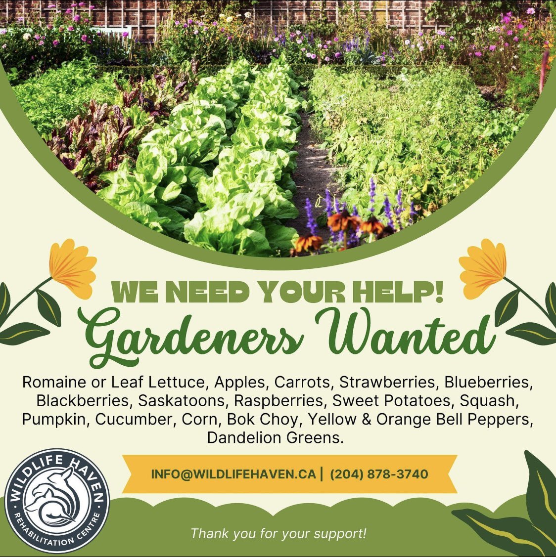 Alix Michaels (@alixsvoice) on Twitter photo Got some veggies to share? <a href="/WildlifeHaven/">Wildlife Haven Rehab</a> could use em! ⬇️ Bruised or slightly old is fine too 🙂 #wildlife #manitoba #veggies Got some veggies to share? <a href="/WildlifeHaven/">Wildlife Haven Rehab</a> could use em! ⬇️ Bruised or slightly old is fine too 🙂 #wildlife #manitoba #veggies
