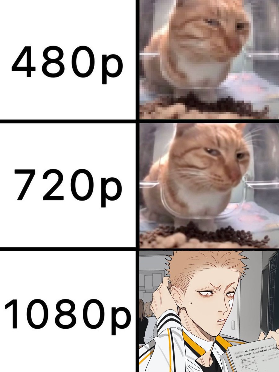 miyano🍓 (@mossandwiches) on Twitter photo 