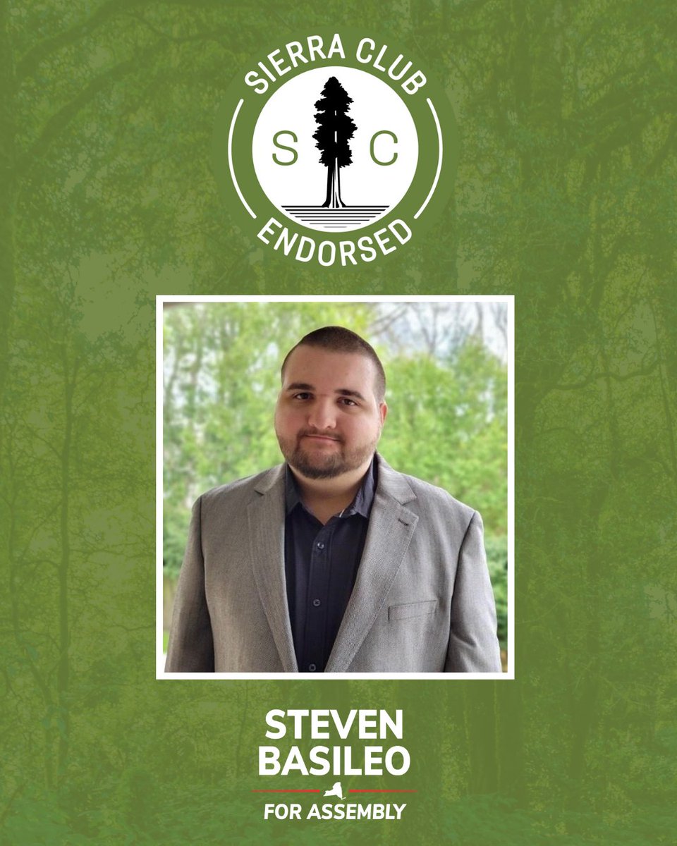 Steven Basileo tweet media