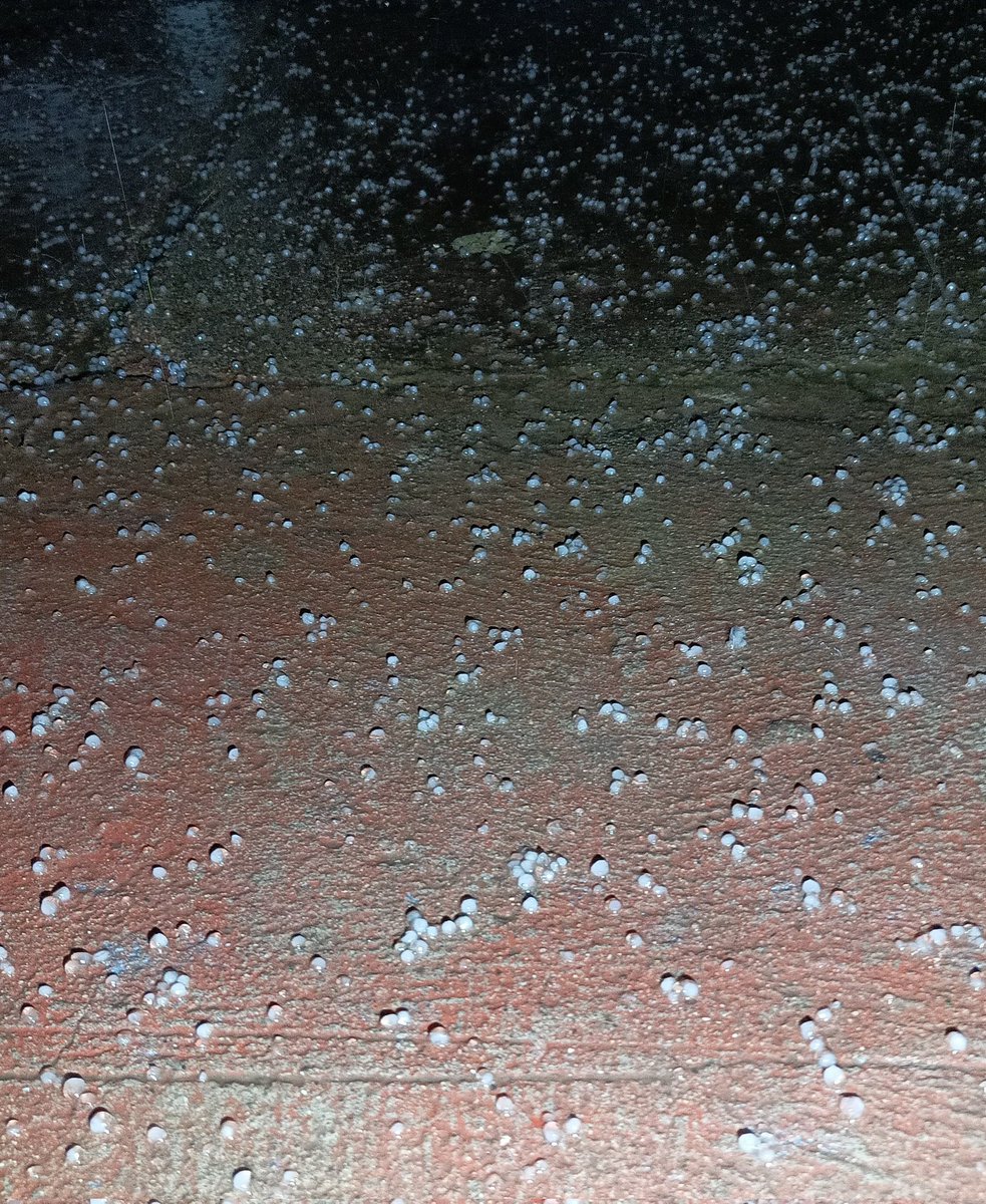 Cristóbal Reus Chêreau tweet media