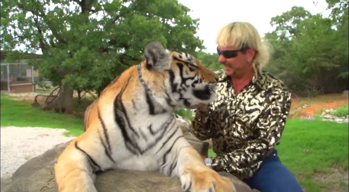 ZRover4's tweet photo. @FUDonBitcoin 🔬🧡 I saw a 🐅🧡🔬

#FUDit https://t.co/n5CNwEgxmV