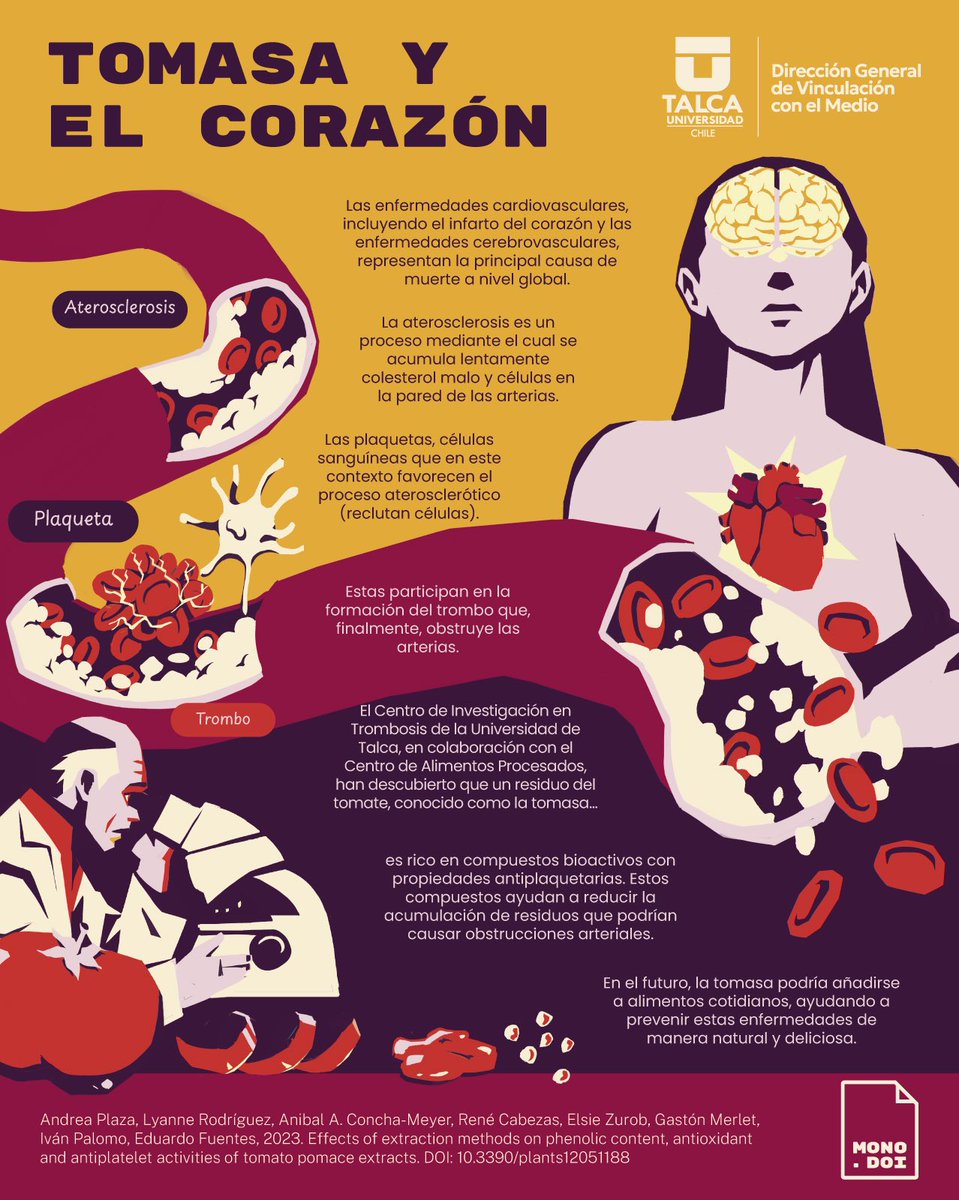 Vinculación UTalca (@vcm_utalca) on Twitter photo LA TOMASA Y EL CORAZÓN
"La Tomasa 🍅 y el Corazón ❤️: Científicos de <a href="/UTalca/">Universidad de Talca</a> han descubierto increíbles cualidades del tomate que ayudan a prevenir enfermedades cardiovasculares 🧐.
📝Descubre más sobre esta investigación en el DOI: doi.org/10.3390/plants… LA TOMASA Y EL CORAZÓN
"La Tomasa 🍅 y el Corazón ❤️: Científicos de <a href="/UTalca/">Universidad de Talca</a> han descubierto increíbles cualidades del tomate que ayudan a prevenir enfermedades cardiovasculares 🧐.
📝Descubre más sobre esta investigación en el DOI: doi.org/10.3390/plants…