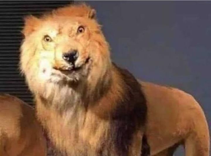 - Torre: xbsjsjsbsjsjlsisbbsb
 - El instructor: Recibido, autorizados para despegar pista 10, ciento calma, reportamos 10 MN fuera. 

   *Yo en mi primer hora de vuelo*
