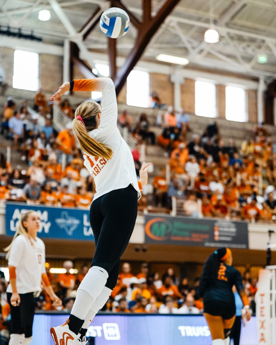 Texas Volleyball tweet media