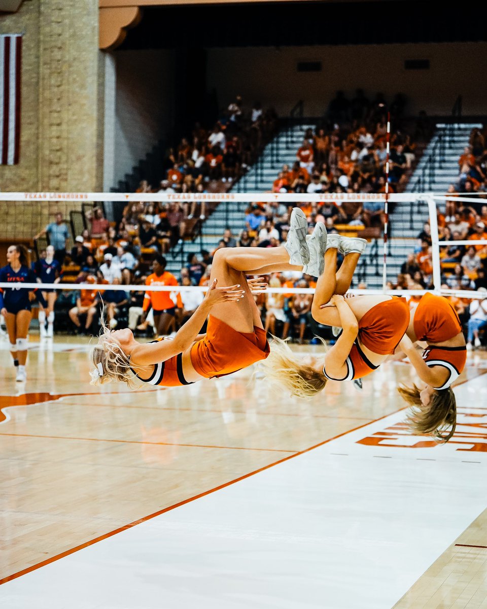 Texas Volleyball tweet media
