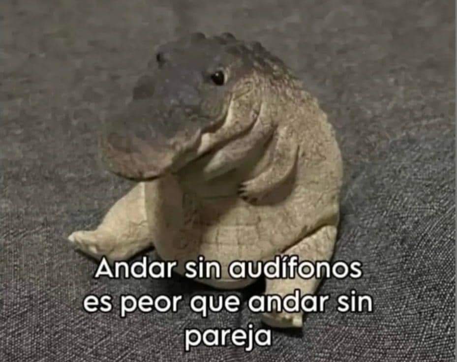 Memes Universidad Nacional (@nacional_memes) on Twitter photo 