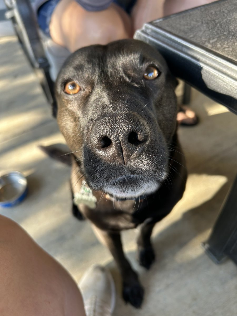 ashaweeeey's tweet photo. Some more🤪 https://t.co/CfQZCrKrTg