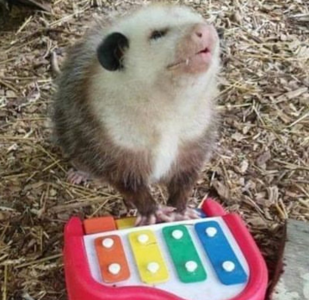 and ten drunk cigarettes 🎶