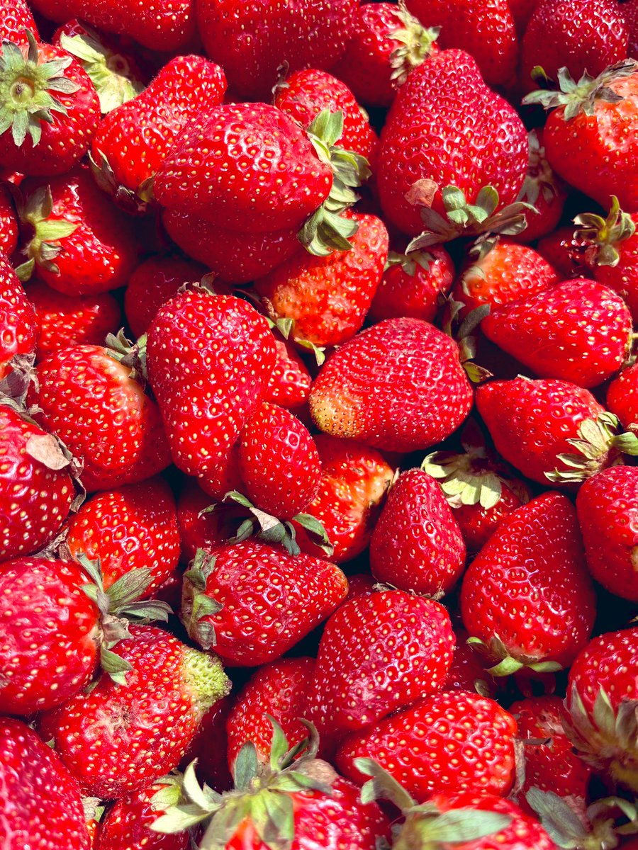 OFERTA!!! 
24.000Gs el kilo o 10kg por 230.000
Hace tu pedido al 0981-801333 y te acercamos a tu casa..