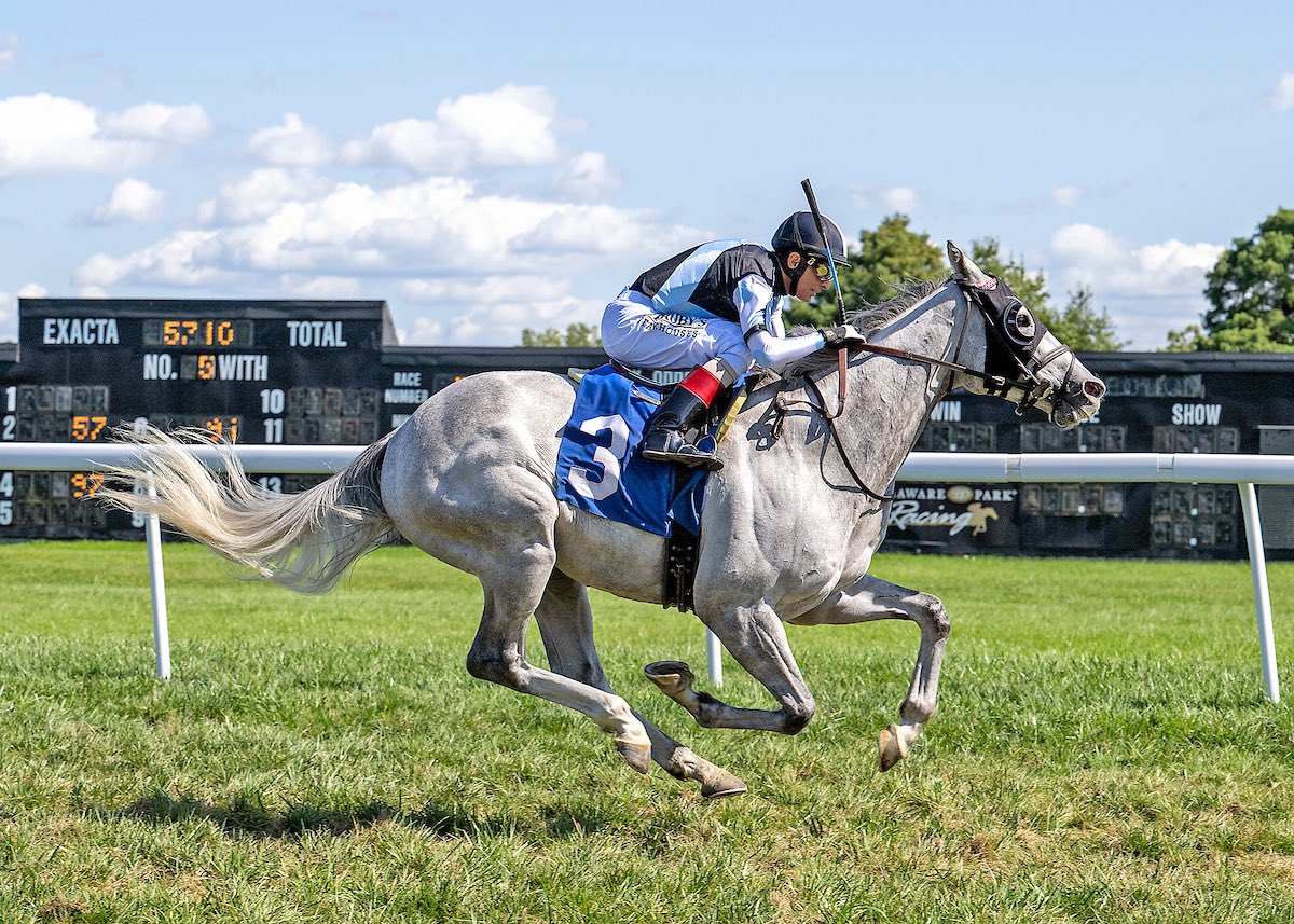 Eclipse Thoroughbred Partners (@eclipsetbp) on Twitter photo The Grey Wizard delivered another magical winning performance in today’s $200k Cape Henlopen Stakes <a href="/DelParkRacing/">Delaware Park</a>. Kudos to <a href="/GrahamMotion/">GrahamMotion</a> for another brilliant training job & what can we say about the best and classiest jockey there is, <a href="/ljlmvel/">John Velazquez</a>?! #EclipseEuros #BelieveBig The Grey Wizard delivered another magical winning performance in today’s $200k Cape Henlopen Stakes <a href="/DelParkRacing/">Delaware Park</a>. Kudos to <a href="/GrahamMotion/">GrahamMotion</a> for another brilliant training job & what can we say about the best and classiest jockey there is, <a href="/ljlmvel/">John Velazquez</a>?! #EclipseEuros #BelieveBig
