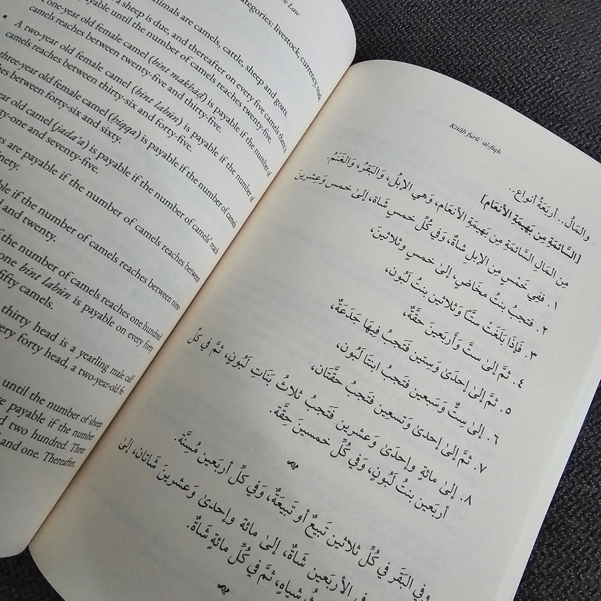 The new edition with parallel English-Arabic. It should be available in bookshops in a few weeks. May Allāh accept this humble contribution and make it a means for people to understand our Deen deeply. 

#newpublication #hanbali #fiqh #islam #muslims #hadith #quran #arabic