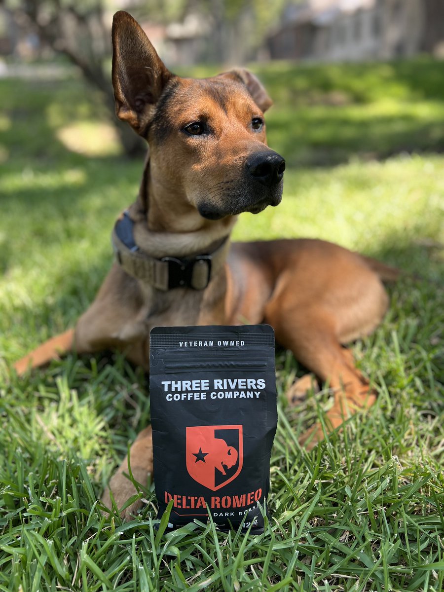 Thrriverscoffee's tweet image. What’s in that delicious smelling bag? 🧐 Must be TRCC! 🐶😋 #pawfect #coffee