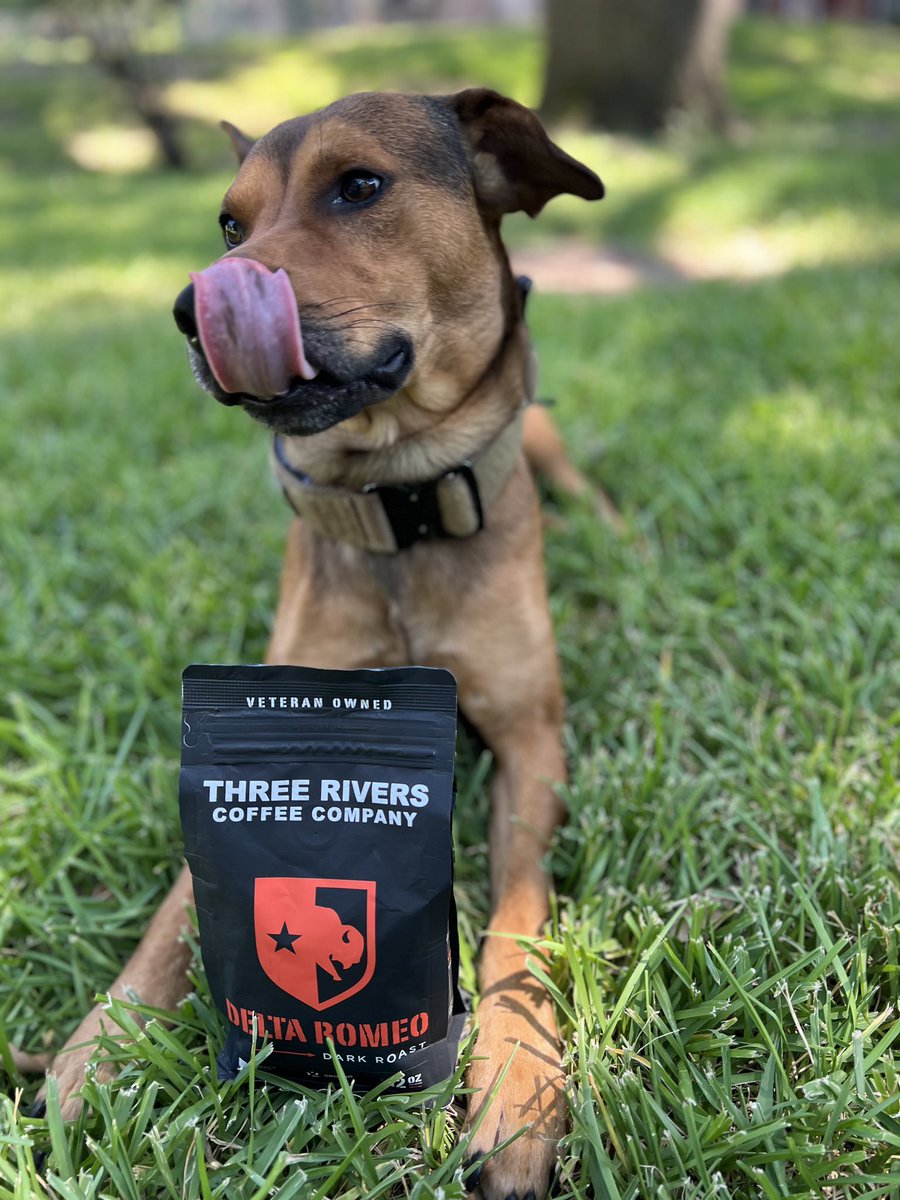 Thrriverscoffee's tweet image. What’s in that delicious smelling bag? 🧐 Must be TRCC! 🐶😋 #pawfect #coffee
