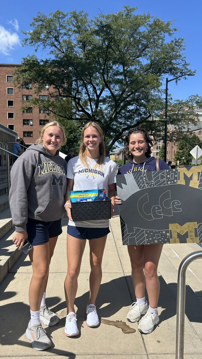 Michigan Softball tweet media