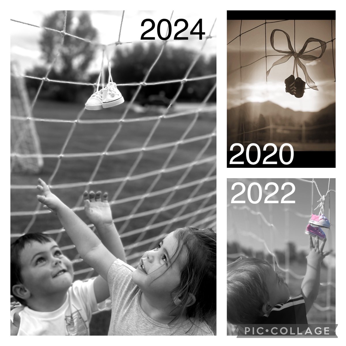 Fields Brown tweet media