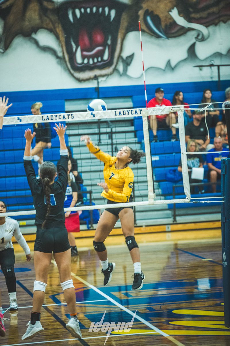 brannon_kk's tweet photo. Sophomore season 🐯
@mp_volleyball @Coach_Cluley @iconicsnow  @Sports_Recruits https://t.co/P73tu1oj4a