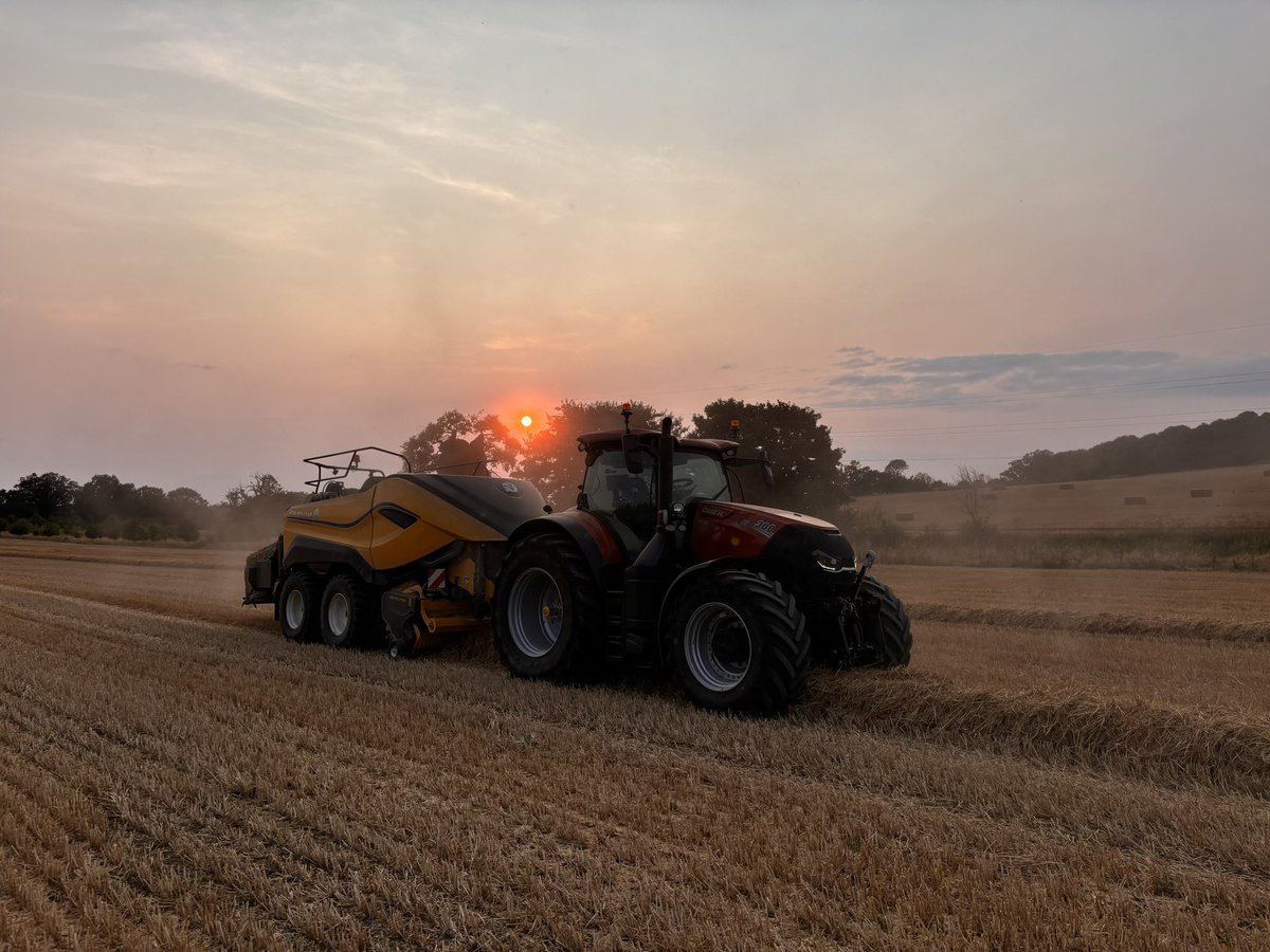 Archie Vipond tweet media