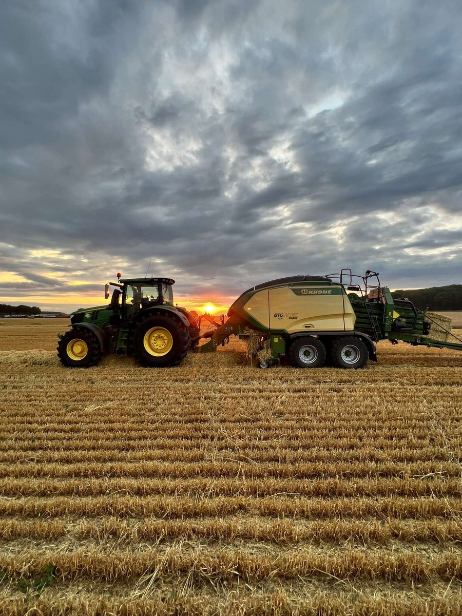 Archie Vipond tweet media