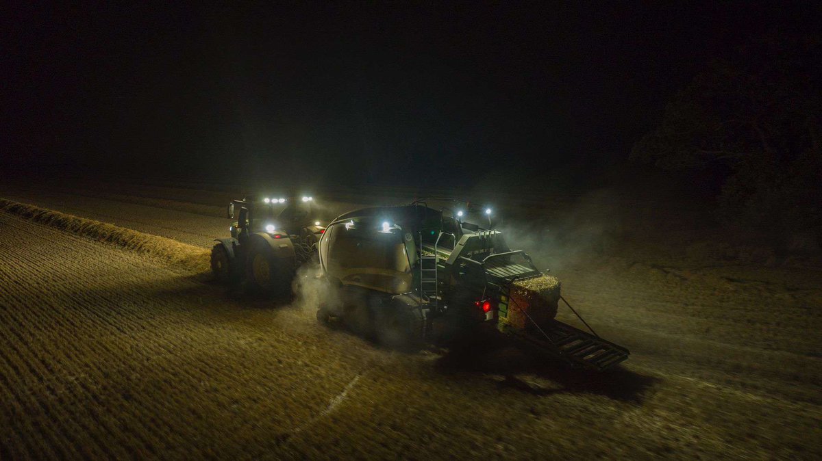 Archie Vipond tweet media