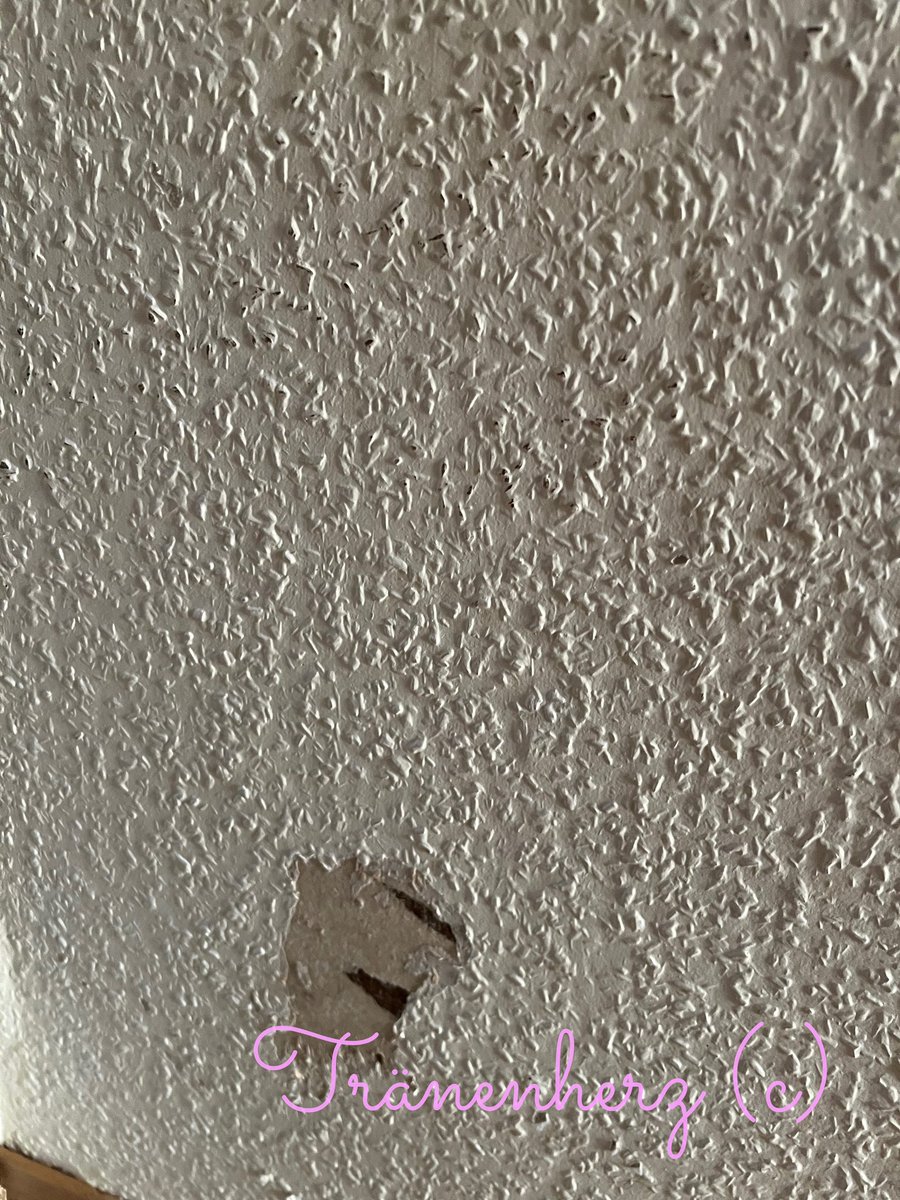 Also das war so…

Die Wand hat zuerst angefangen! Ganz ganz sicher! *unschuldigguck*

👩🏻 ich seh das ein bisschen anders du kleine freche #Ronja Maus. Seit du in die Pubertät gekommen bist, hast du nur bunte #Glitzerknete im Kopf. ✨

#RonjaJune #Moments