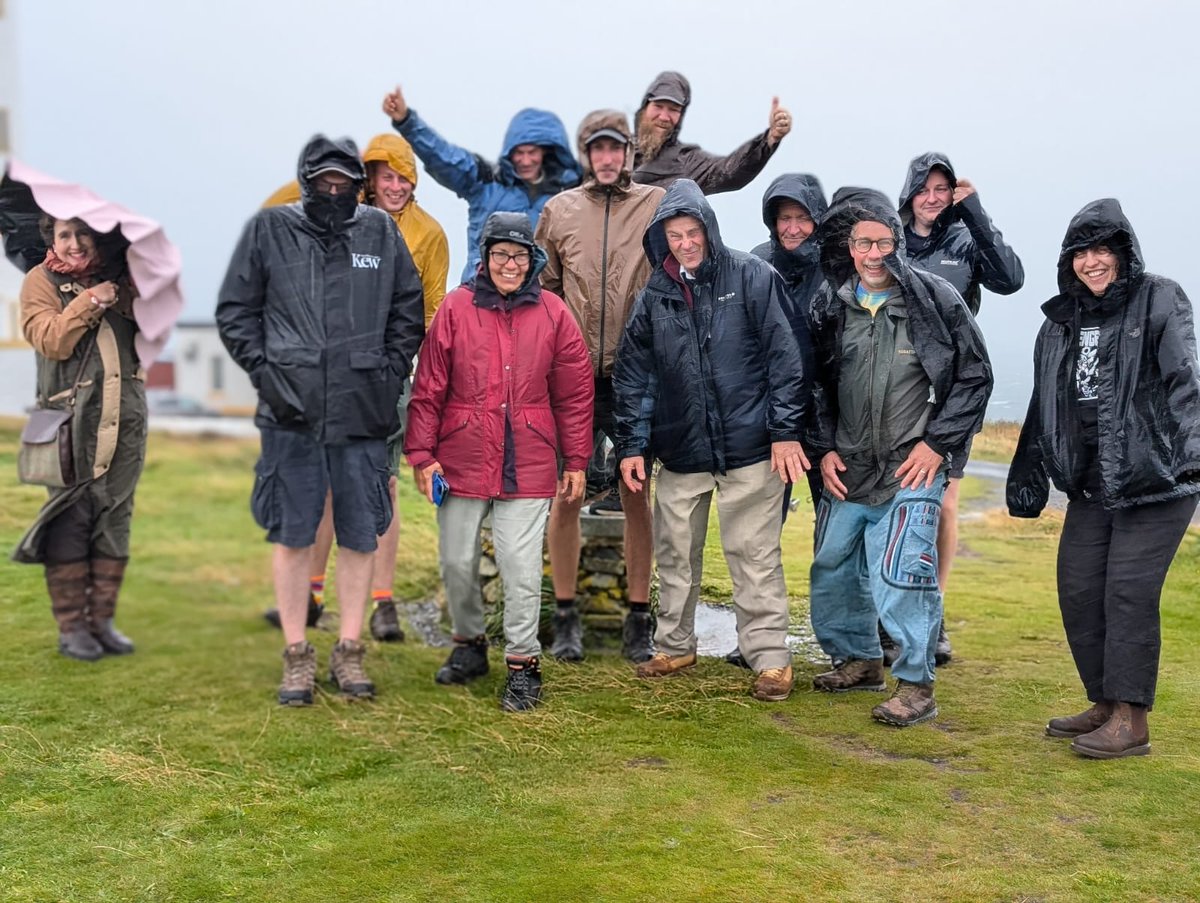 RHS Tender Ornamental Plant Committee (@tender_plant) on Twitter photo Day two is over for the #TOPC study tour to #Scotland, and the weather is determined to blow us away! Almost 60mph up at the <a href="/MullofGalloway/">Mull of Galloway</a> - but they couldn't blow away a fabulous day at <a href="/LoganBotanicGdn/">Logan Botanic Garden</a>. Two more #gardens tomorrow - stay tuned! Day two is over for the #TOPC study tour to #Scotland, and the weather is determined to blow us away! Almost 60mph up at the <a href="/MullofGalloway/">Mull of Galloway</a> - but they couldn't blow away a fabulous day at <a href="/LoganBotanicGdn/">Logan Botanic Garden</a>. Two more #gardens tomorrow - stay tuned!