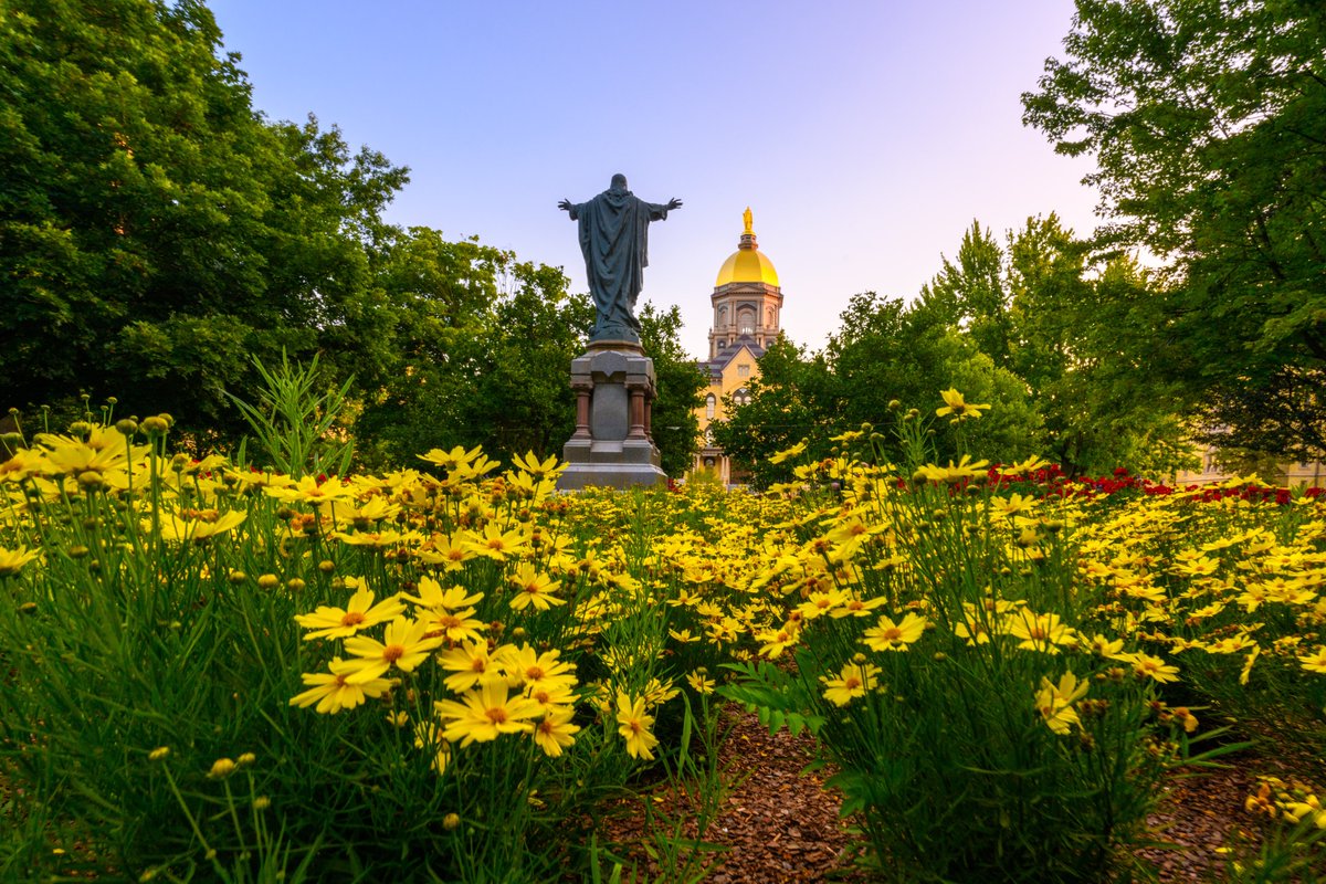 all that glitters is gold ✨

#GoIrish