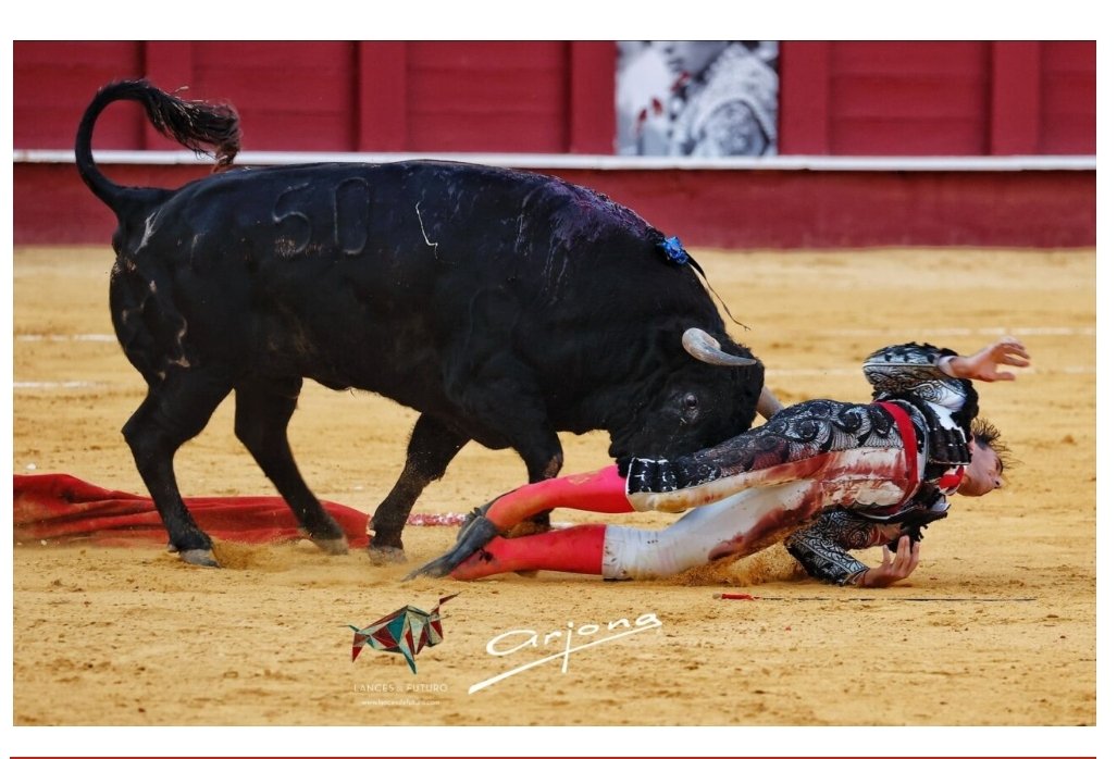 ruben_prz's tweet photo. No duele. Es Arte. https://t.co/yrq3Mhm3oc