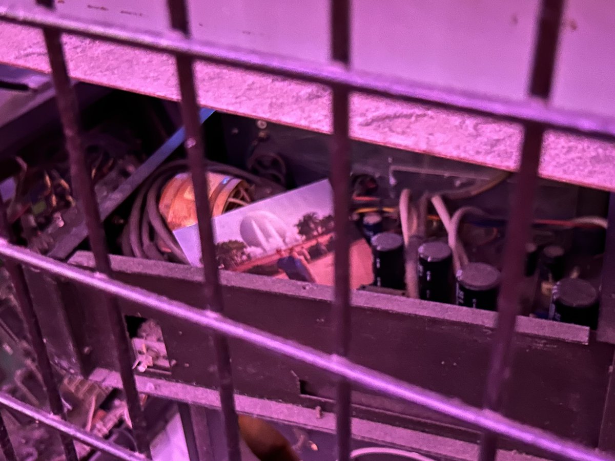 Among the items in the cage that guests pass in the queue for Journey Into Imagination With Figment is a photo of an unknown couple standing in the middle of EPCOT. Although the exact date of the photo is difficult to tell, the Fountain of Nations can be seen in the background!