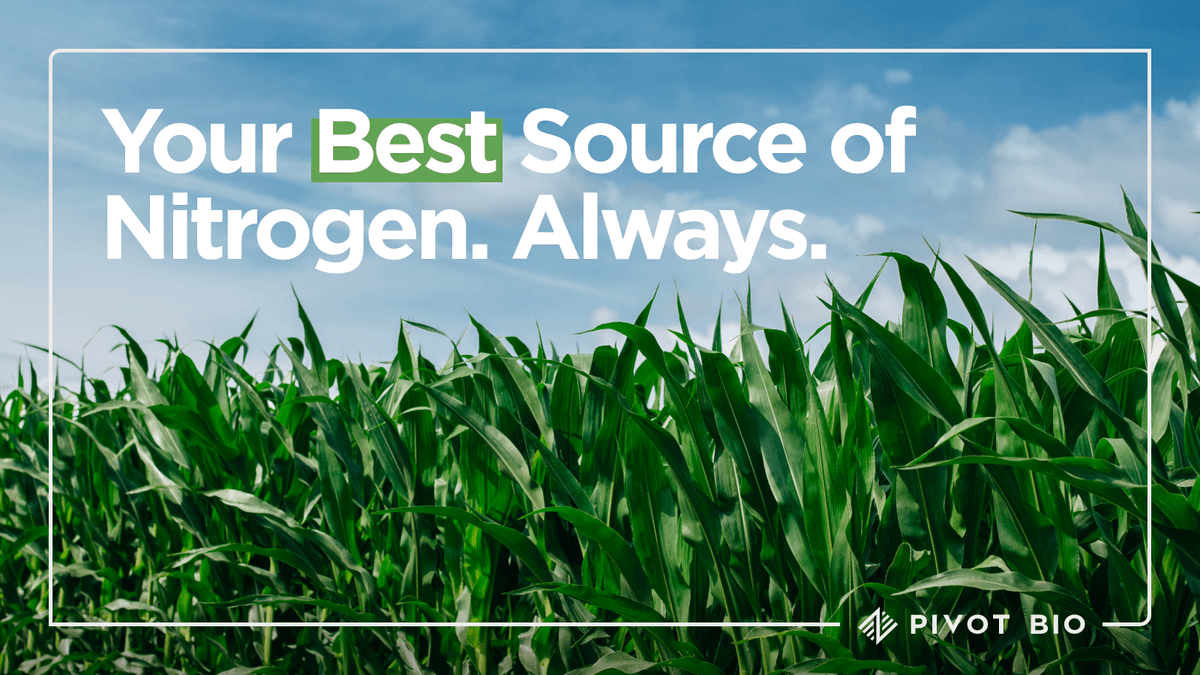 At Pivot Bio, we enhance purpose-built microbes that optimize crop production through specifically placed and timed nitrogen delivery.