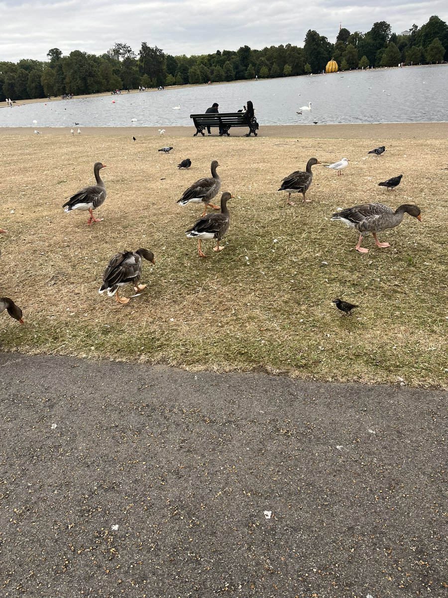 Hello London 🩷 #NursesActive