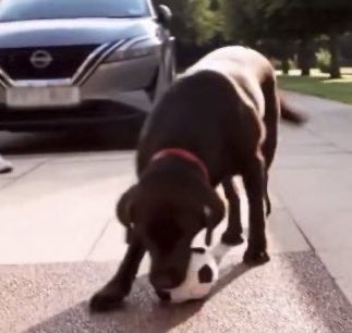 skippermccabe's tweet image. investing stocks in these four again