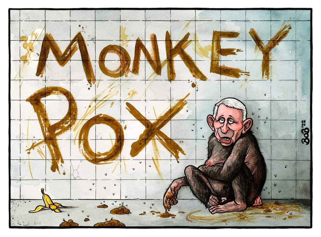 FatEmperor's tweet image. The #MoneyPox scam in a nutshell - perfectly summarised. Nothing more needs be said. Please retweet:
@bobscartoons
#Mpox #MonkeypoxVirus