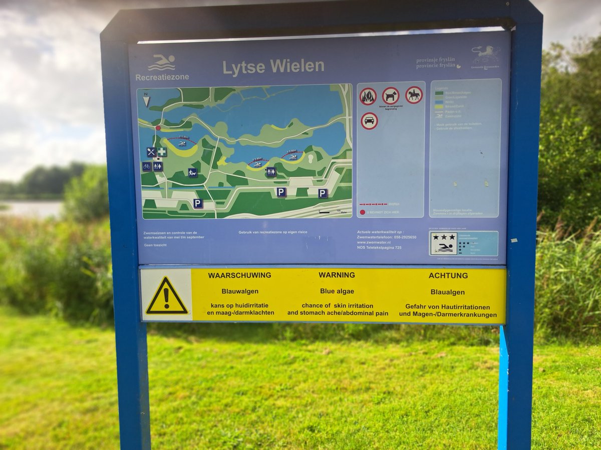 Opnieuw een waarschuwing voor blauwalg bij de zwemlocatie Lytse Wielen.