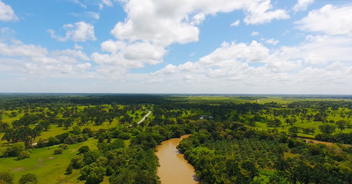 💧#AfiliadosCEA | GeoPark nos comparte su gran logro al convertirse en la primera empresa de petróleo y gas en Colombia en verificar su huella de agua para todos sus bloques operados en el país.

Encuentra aquí el artículo completo: lnkd.in/gvS-ns9R