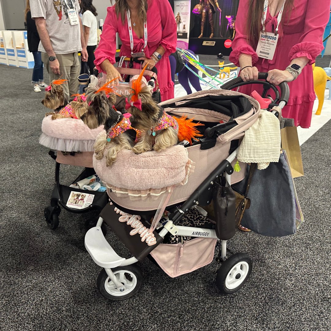 MerlotMarketing's tweet photo. We're back home from #LasVegas, but can't stop daydreaming about #SuperZoo last week! From inspiring chats with industry pros to seeing the latest in pet gear, day 2 was one for the books.
Are you planning your next event and need a little tradeshow magic?✨ Give us a call! https://t.co/G6OWpdn1bm