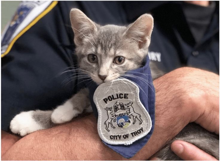 BuckyIsotope's tweet photo. *sobbing quietly* a…a…acab https://t.co/ds08yqLdxB