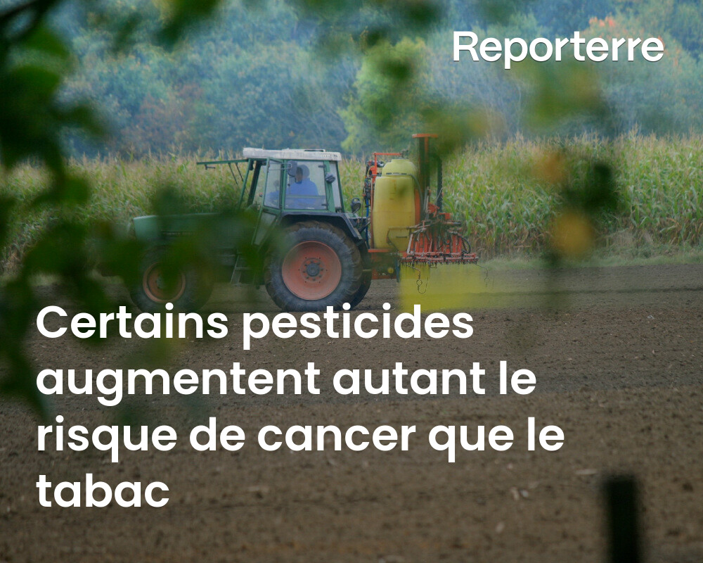 Pour certains cancers, les pesticides augmentent autant le risque que le tabac.

C’est ce que montre une étude étasunienne, publiée fin juillet dans Frontiers in Cancer Control and Society.

Lire l'article ➡️ l.reporterre.net/6O