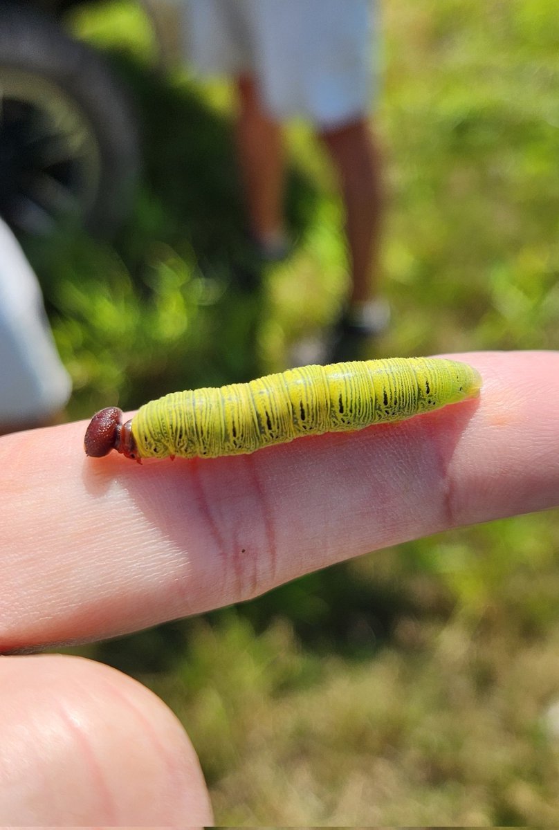 Jeremy Greene tweet media