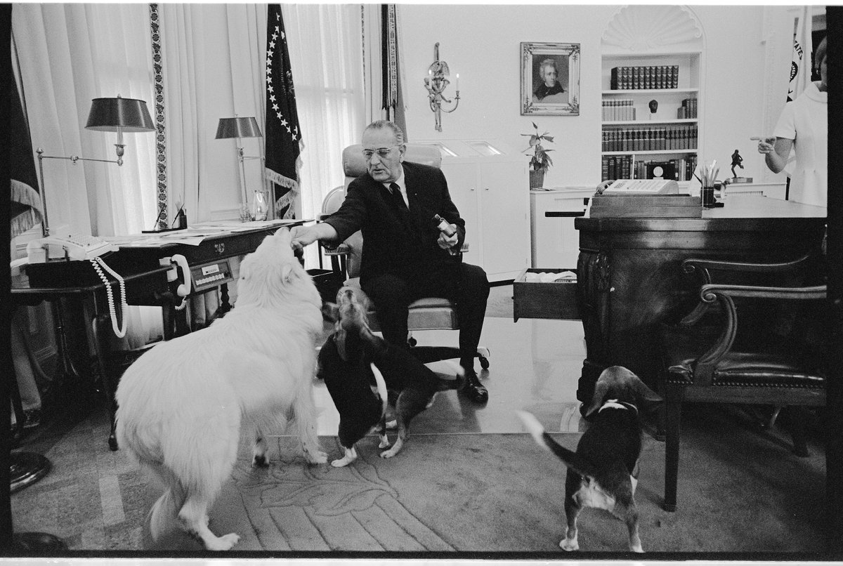 ColdWarPosting's tweet image. I 🫀 pictures of lyndon johnson with dogs