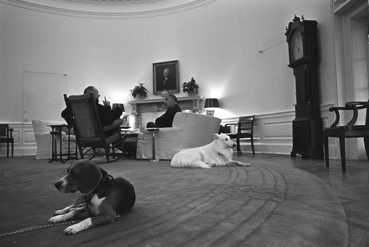 ColdWarPosting's tweet image. I 🫀 pictures of lyndon johnson with dogs