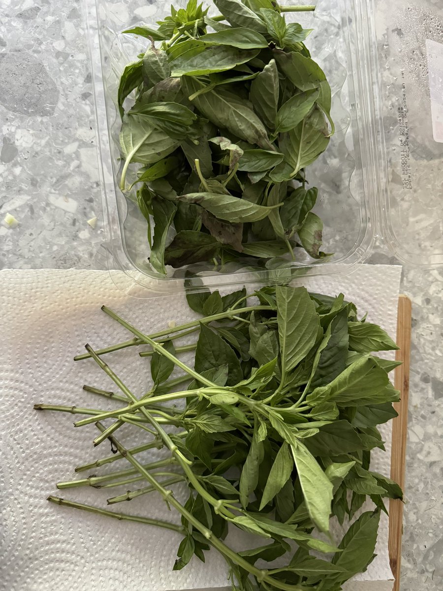 so happy I get to pay full price for LITERALLY 1/2 the produce AND this was the best of the worst <a href="/nofrillsCA/">No Frills</a>