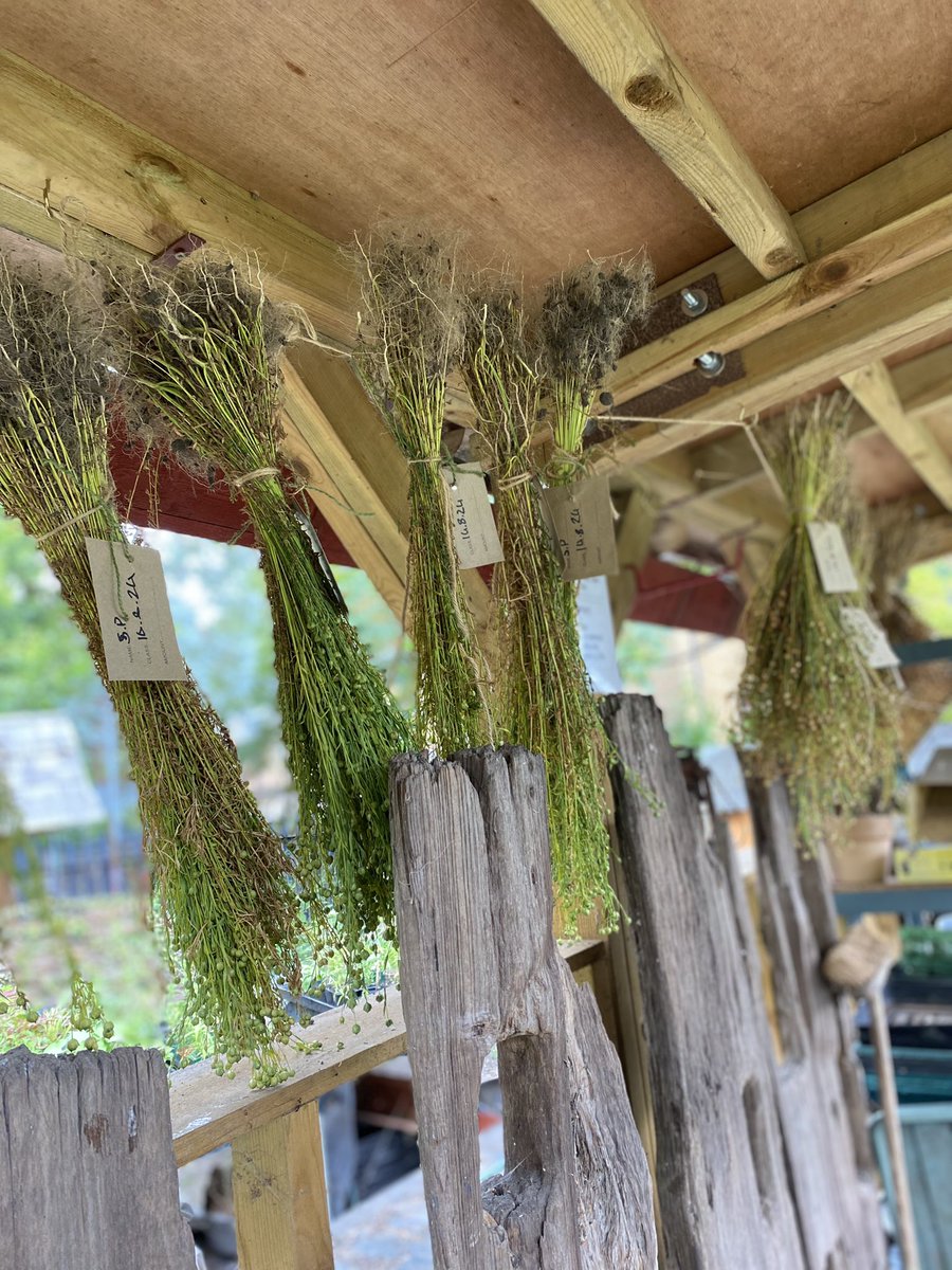 Magdalena Glowacka tweet media