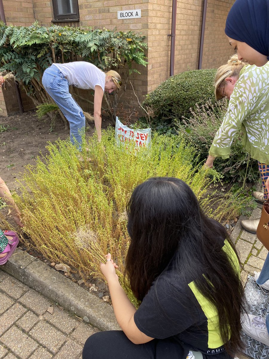 Magdalena Glowacka tweet media