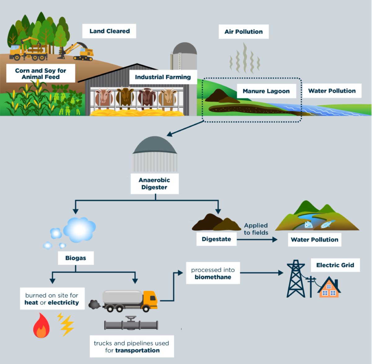 There's nothing clean about #biogas! The full lifecycle of biogas production generates major GHG emissions.