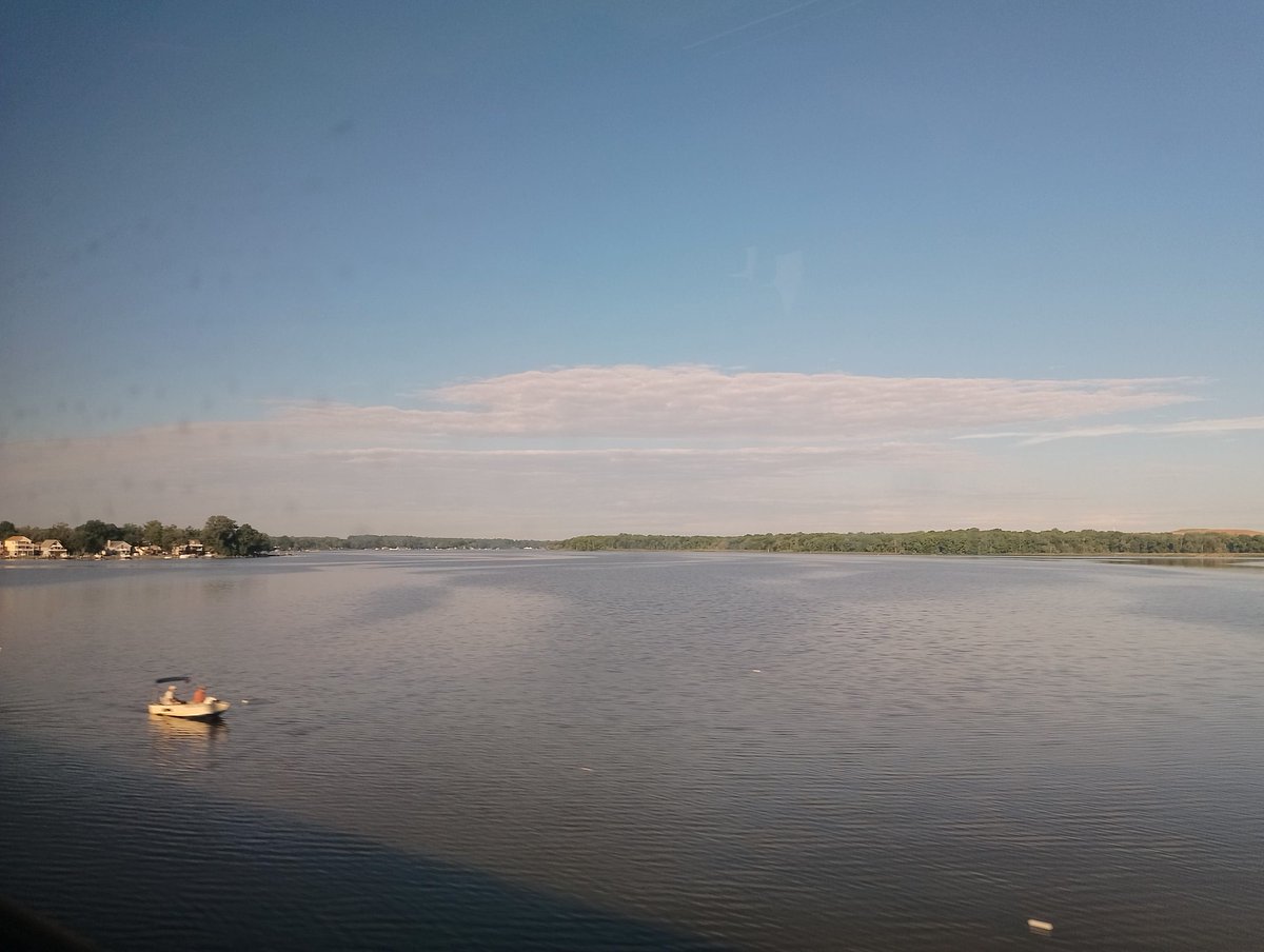 [Amo new york e la sua libertà e il modo in cui mi sento libera di essere me stessa lì. Ma gli stati uniti non sono new york.]

Le elezioni la provincia il verde e la razza e la classe hanno il sapore di qualcosa di eterno ma allo stesso tempo fragilissimo.

in foto: Delaware