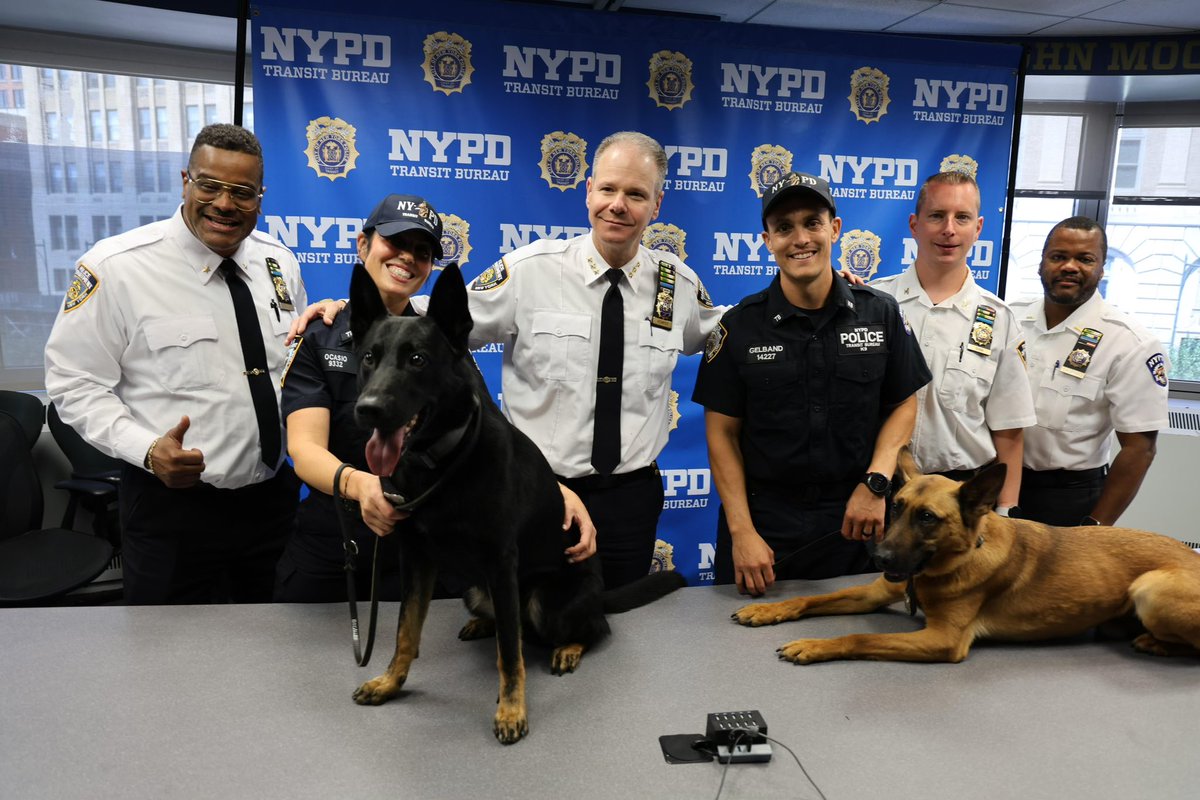 GViTdn7WsAAa3Qx.jpg?format=jpg